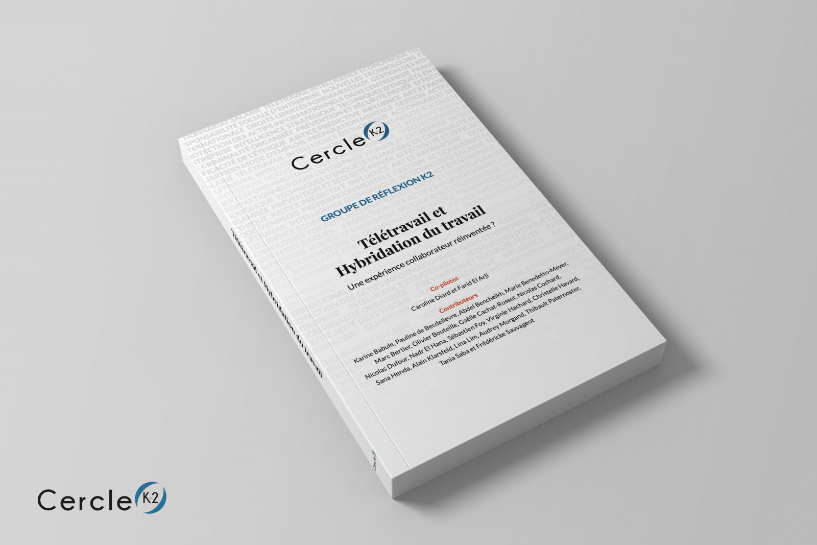 [Groupe K2 ] Télétravail et Hybridation du travail : une expérience collaborateur réinventée ? - Cercle K2